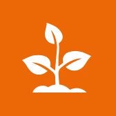 plantazialandscapes