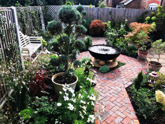 Plants & Lawns Blackheath