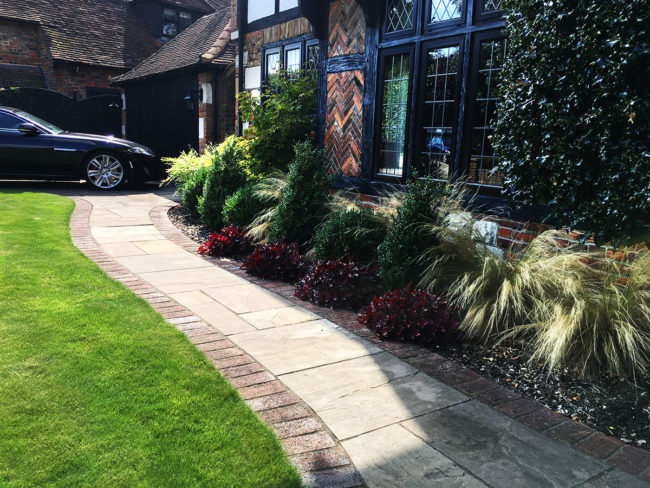 Plants & Lawns Chislehurst