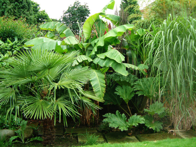 Plants & Lawns Orpington